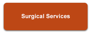 Surgical Services