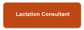 Lactation Consultant
