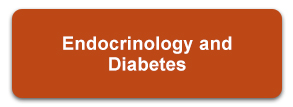 Endocrinology and Diabetes